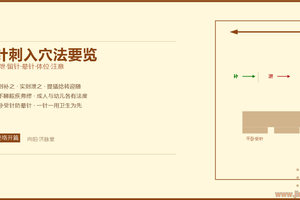 针刺入穴法要览